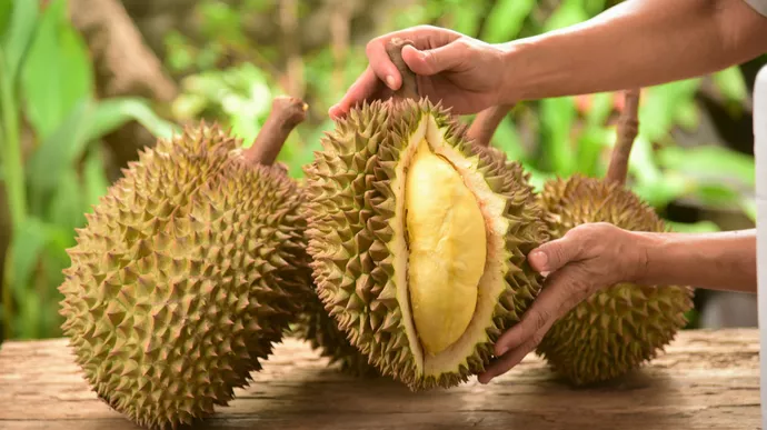 Kandungan Antioksidan dalam Durian: Perisai Tubuh dari Penyakit